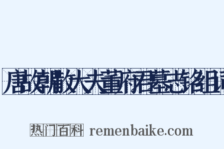 唐故朝散大夫董府君墓志铭组词是什么意思的图片